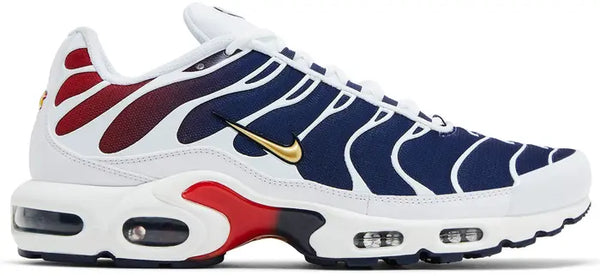 Nike Air Max Plus TN PSG